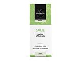Volatile Salie (Salvia Officinalis) 5ML