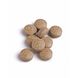 Biotics Cytozyme-O Tabletten 60TB