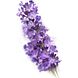 Kneipp Douche Relaxing Lavendel 75ML lavendel tak