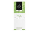 Volatile Thuja (Thuja Occidentalis) 5ML