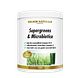 Golden Naturals Supergreens & Microbiotica Poeder 300GR Golden Naturals Supergreens & Microbiotica Poeder 300GR