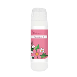Balance Pharma Flowerplex 040 Balans Lichaam/Geest 6GR