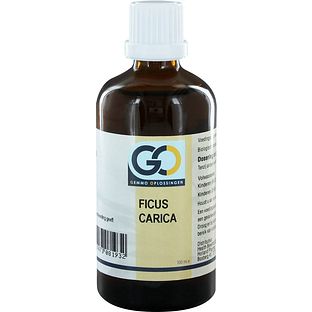 GO Gemmo Oplossingen Ficus Carica Bio Tinctuur 100ML GO Gemmo Oplossingen Ficus Carica Bio Tinctuur 100ML