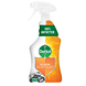 Dettol Power Keukenreiniger Spray 500ML