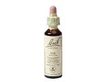 Bach Flower Remedies Zomereik 22 20ML