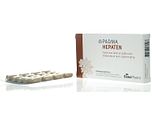 Padma Hepaten Capsules 40CP Padma Hepaten Capsules 40CP