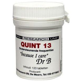 DNH Research DNH Quint 13 Tabletten 120TB