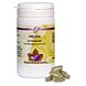 Holisan Arjuna Capsules 60CP