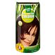 Hennaplus Long Lasting Colour 4.56 Auburn 100ML