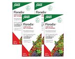 Salus Elixer Floradix 4x500ML