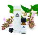 Chi Natural Life Chi Salie Eko Olie 10ML