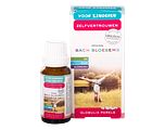 Bach Bloesems Kids Zelfvertrouwen Parels 20GR