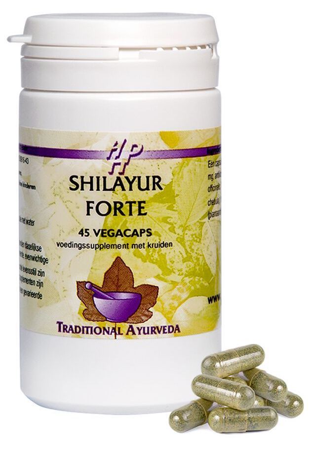 Holisan Shilayur Forte Capsules 45CP