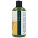Petal Fresh Conditioner Ultra-Shine Aloe & Citrus 475ML