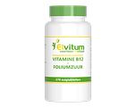 Elvitum Vitamine B12 + Foliumzuur Zuigtabletten 270TB