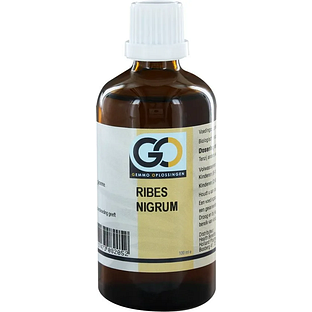 GO Gemmo Oplossingen Ribes Nigrum Bio Tinctuur 100ML