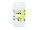 Holisan Haritaki Capsules 60CP