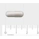 AOV 250 Vitamine B12 & Foliumzuur Vegacaps 60VCP Afmeting tablet