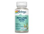 Solaray Psyllium Husk Capsules 100VCP