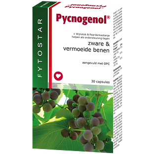 Fytostar Pycnogenol Capsules 30CP Fytostar Pycnogenol Capsules 30CP