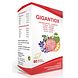 Soria Natural Soria Gigantiox Tabletten 60TB Soria Natural Soria Gigantiox Tabletten 60TB