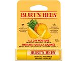 Burt's Bees Tropical Pineapple Lip Balm 4.25GR