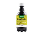 Purasana Kombucha Fresh Sparkling Fermented Tea Matcha Flavour 330ML