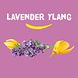 Happy Earth 100% Natural Hand Soap Lavender Ylang 300ML