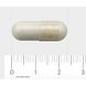 AOV 804 Boswellia-extract 400mg Vegacaps 60VCP Afmeting vegicapsule AOV 804 Boswellia-extract 400mg Vegacaps 60VCP Afmeting vegicapsule