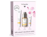 Dr. Hauschka Skincare Routine Must Have Kit - Gevoelige & Normale Huid 1ST
