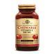 Solgar Vitamine C 500 mg Kauwtabletten 90KTB Solgar Vitamine C 500 mg Kauwtabletten 90KTB