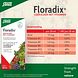 Salus Elixer Floradix - Duoverpakking 2x500ML