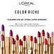 L'Oréal Paris Color Riche Lipstick Intense 108 Copper Brown 1ST