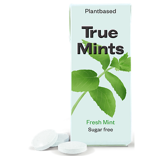 True Gum True Mints Fresh Mint 13GR