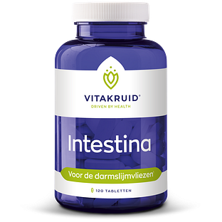 Vitakruid Intestina Darmformule oa L-Glutamine 120TB