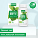 Purasana Brandnetel Capsules 120VCP sfeerfoto