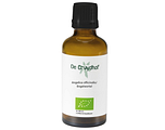 Cruydhof Angelica Officinalis/Engelwortel Druppels 50ML