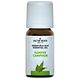 Jacob Hooy Essentiële Olie Kamfer 10ML