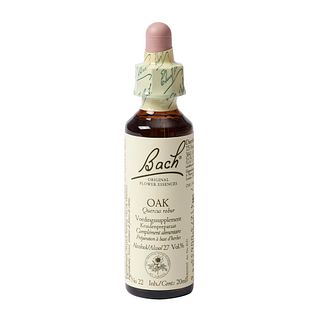 Bach Flower Remedies Zomereik 22 20ML
