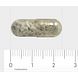 Orthica Antoxidanten Capsules 60VCP Afmeting capsule