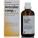 Heel Aesculus Compositum H 100ML Verpakking plus fles