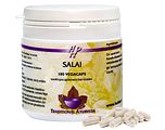 Holisan Salai Capsules 100CP Holisan Salai Capsules 100CP