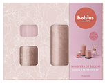 Bolsius Whisper Of Bloom Candle & Fragrance Set Magnolia 1ST