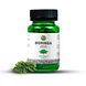 Vanan Moringa Capsules 60CP