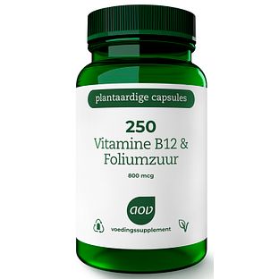 AOV 250 Vitamine B12 & Foliumzuur Vegacaps 60VCP