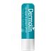 Dermolin Lip Repair & Protect SPF10 4,8GR
