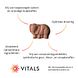 Vitals Elke Dag Junior Kauwtabletten 90TB omschrijving Vitals Elke Dag Junior Kauwtabletten 90TB omschrijving