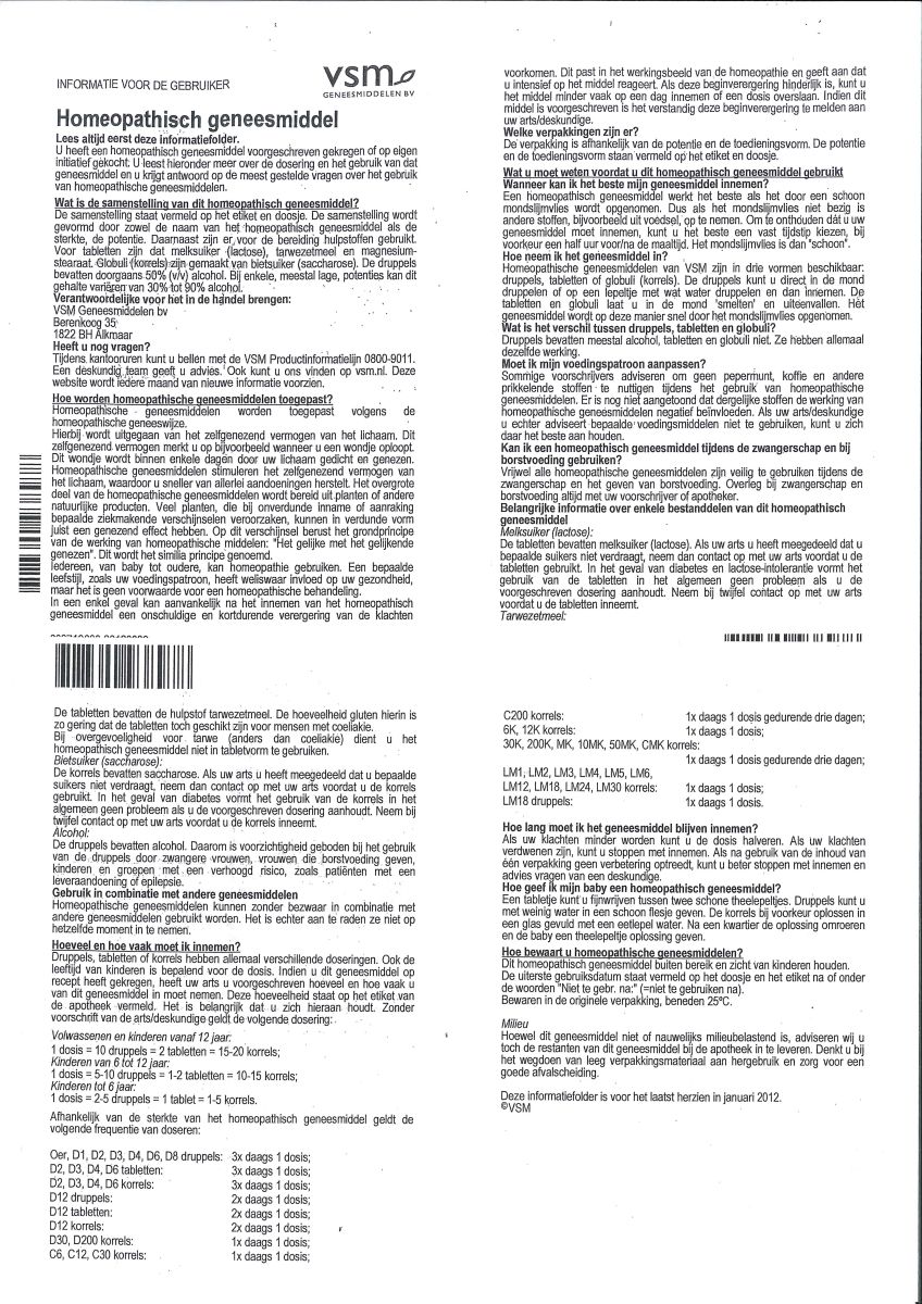 Argentum Nitricum D30 Globuli 200st afbeelding van document #1, leaflet
