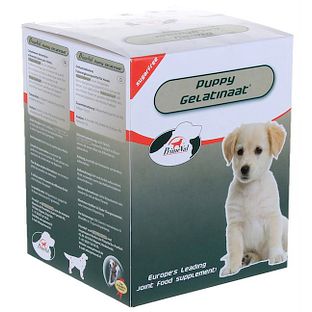 Primeval Puppy Gelatinaat 350GR