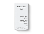 Dr. Hauschka Lip to Cheek Apricot 01 6.1GR Dr. Hauschka Lip to Cheek Apricot 01 6.1GR